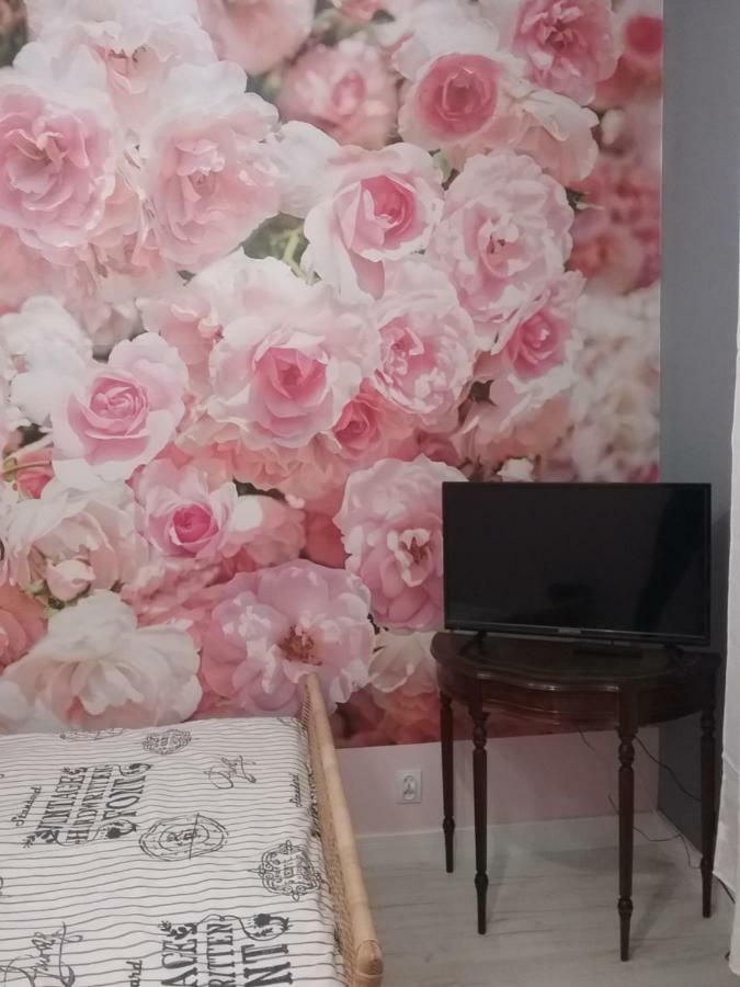 Vintage - Rose Apartament Stary Toruń エクステリア 写真