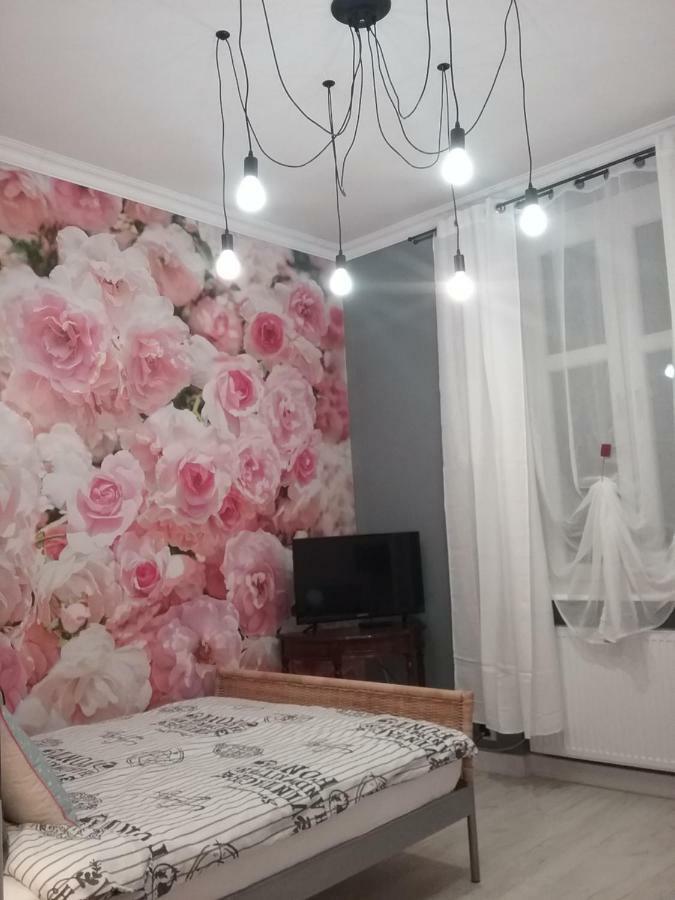Vintage - Rose Apartament Stary Toruń エクステリア 写真