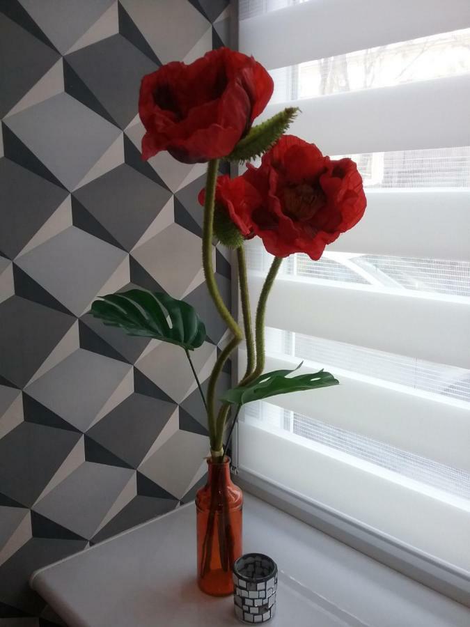 Vintage - Rose Apartament Stary Toruń エクステリア 写真