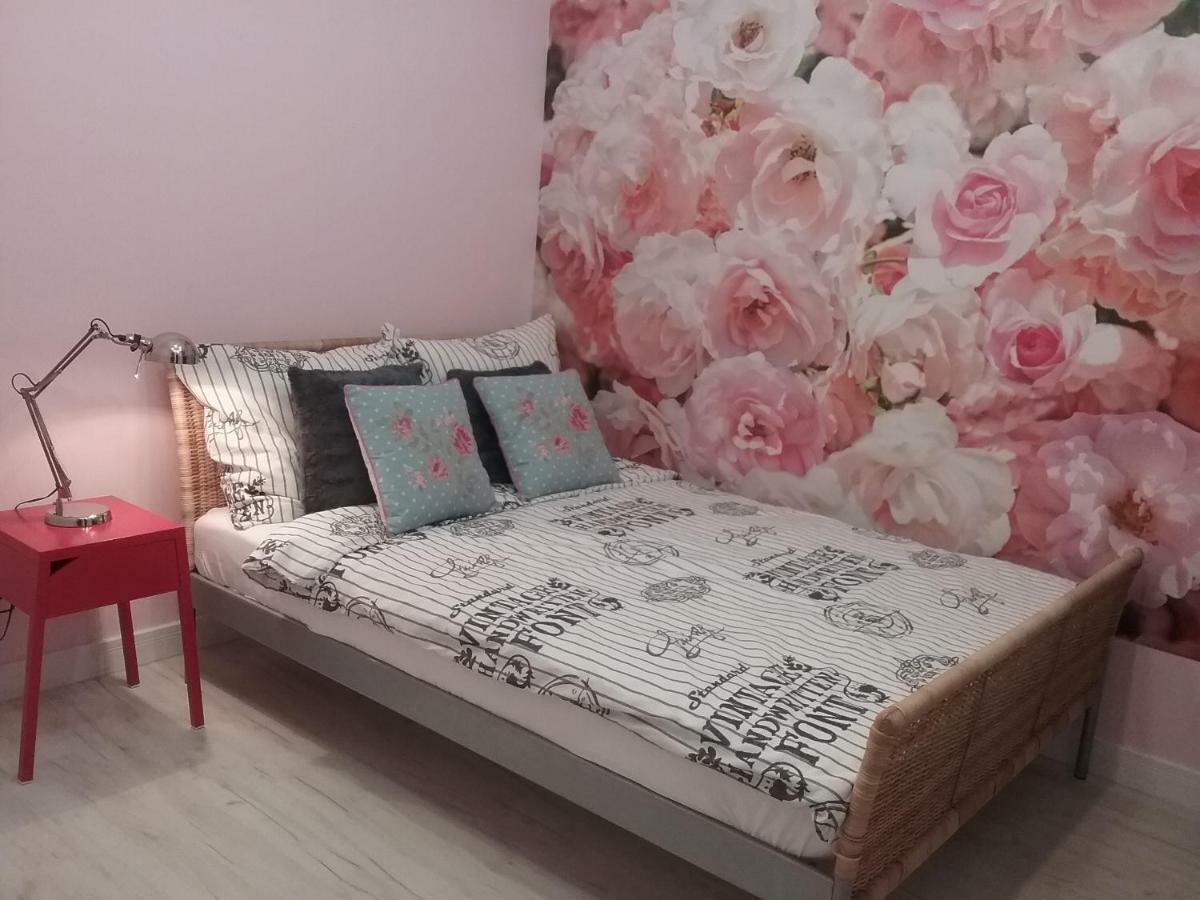 Vintage - Rose Apartament Stary Toruń エクステリア 写真