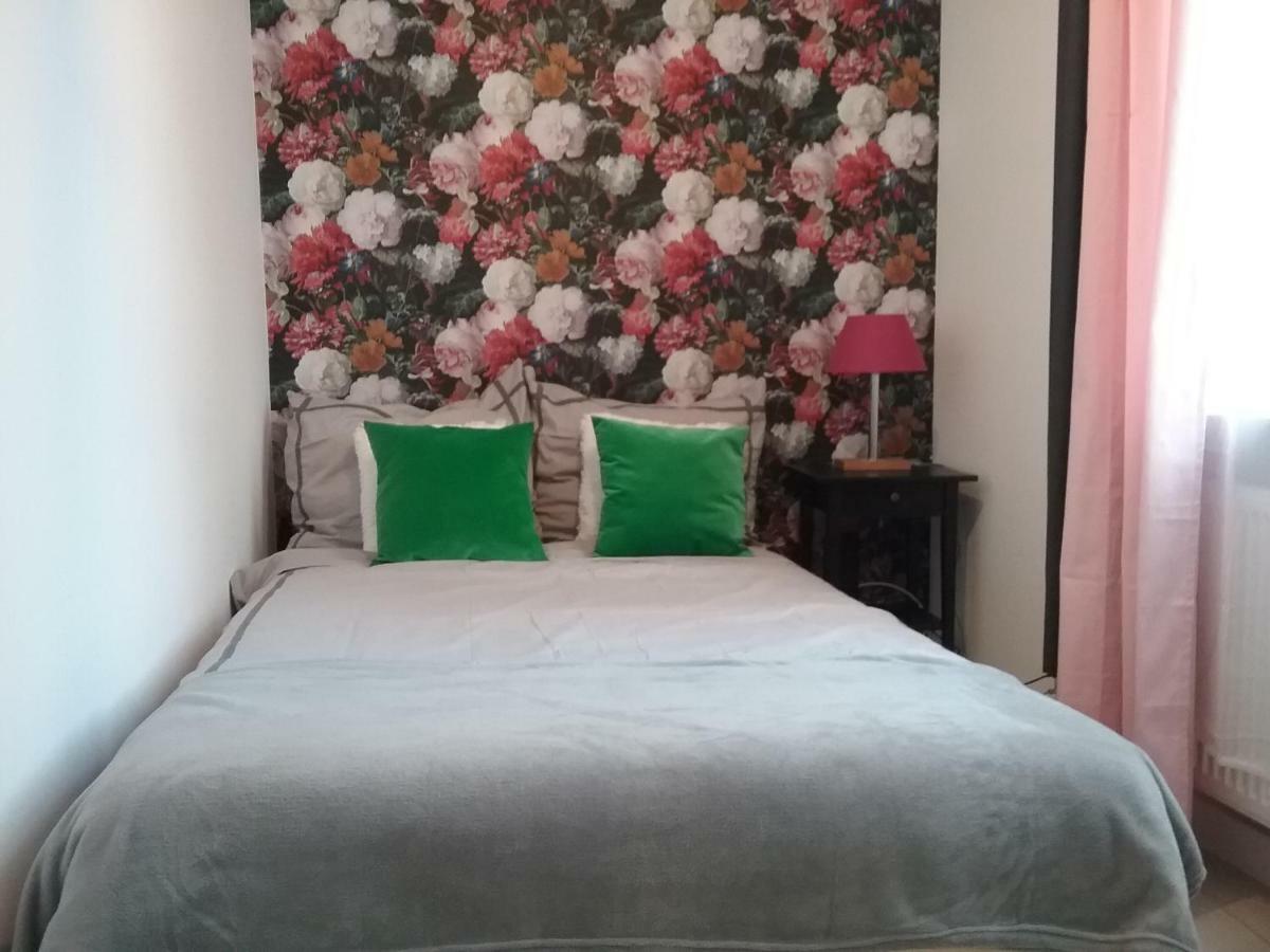 Vintage - Rose Apartament Stary Toruń エクステリア 写真