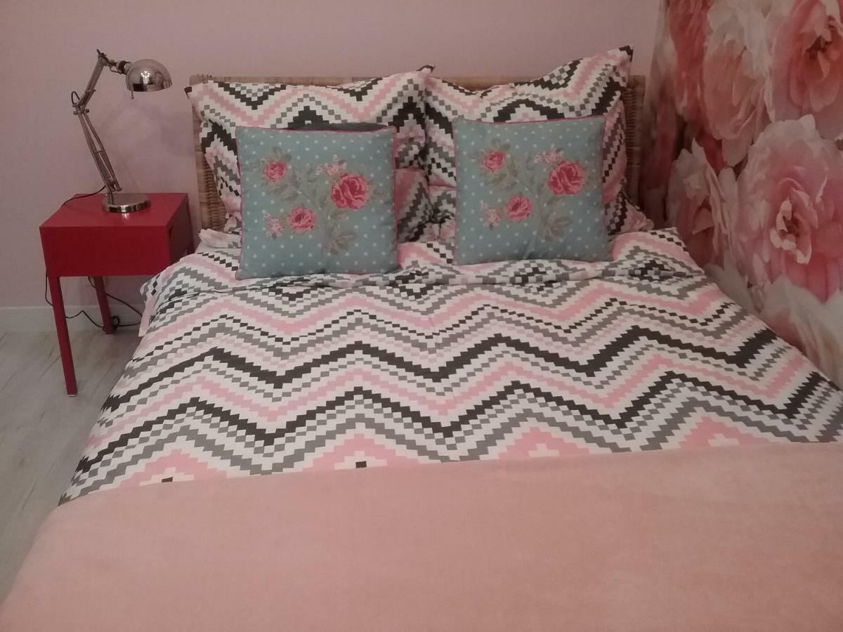 Vintage - Rose Apartament Stary Toruń エクステリア 写真