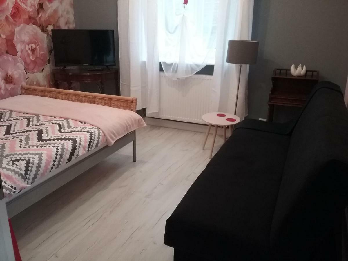 Vintage - Rose Apartament Stary Toruń エクステリア 写真